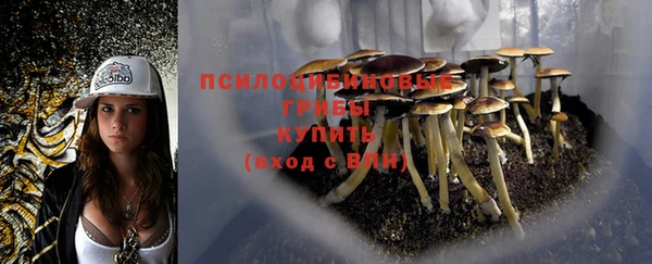 кристаллы Абинск
